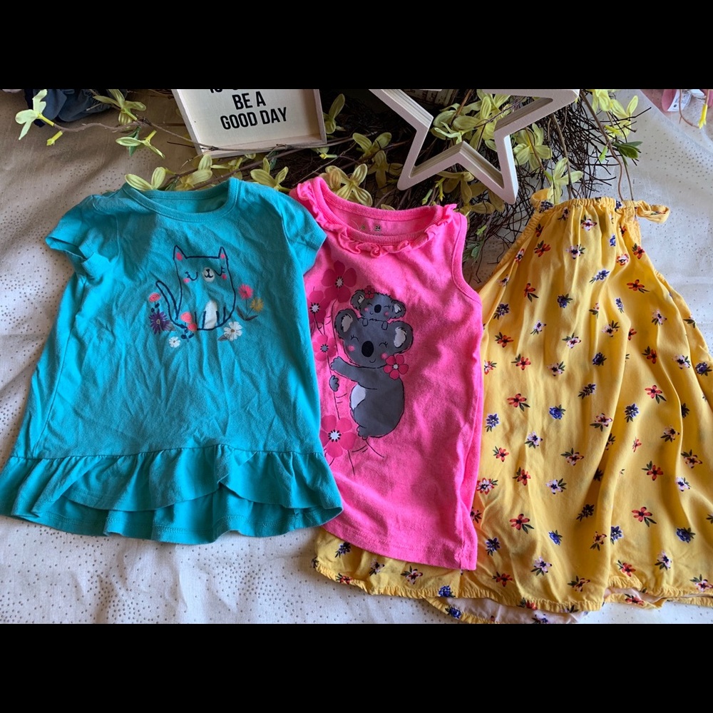 Girls shirt bundle size 24months